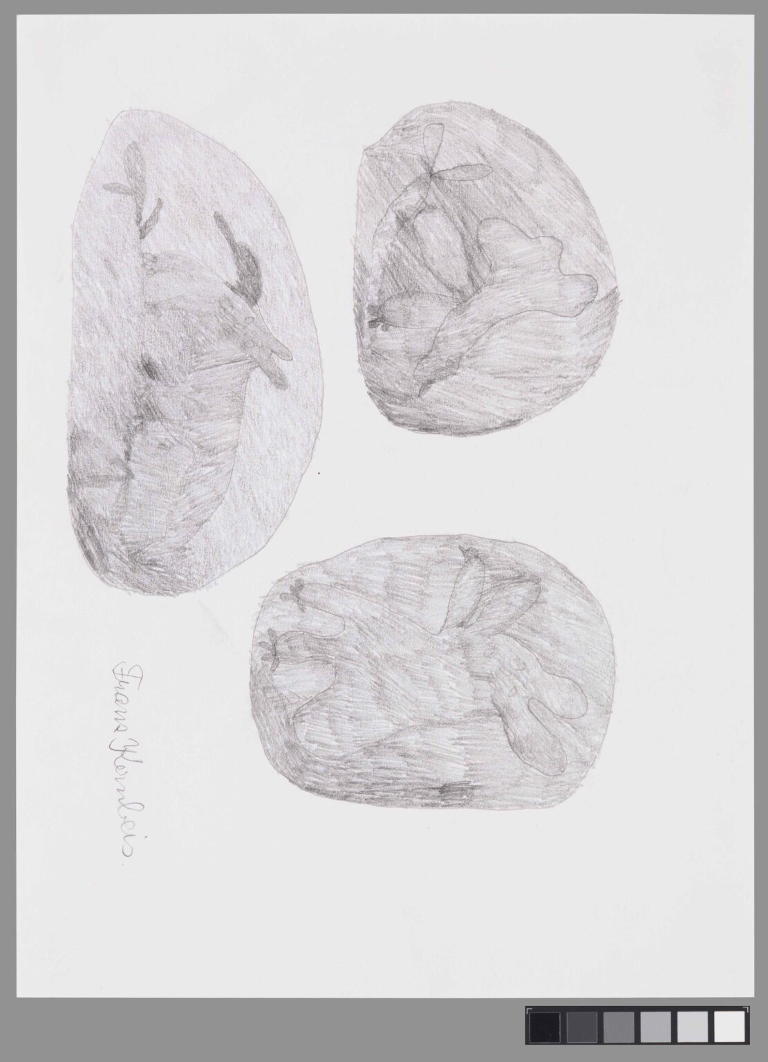 untitled (rabbits in eggs) - Franz Kernbeis 