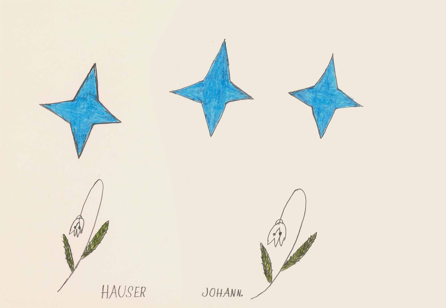 ohne Titel (Blumen und Sterne) - Johann Hauser 
