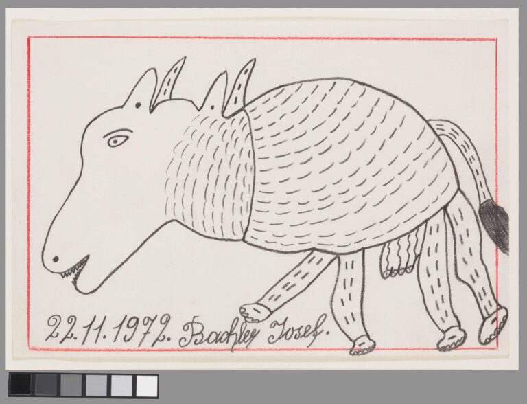 untitled (animal) 