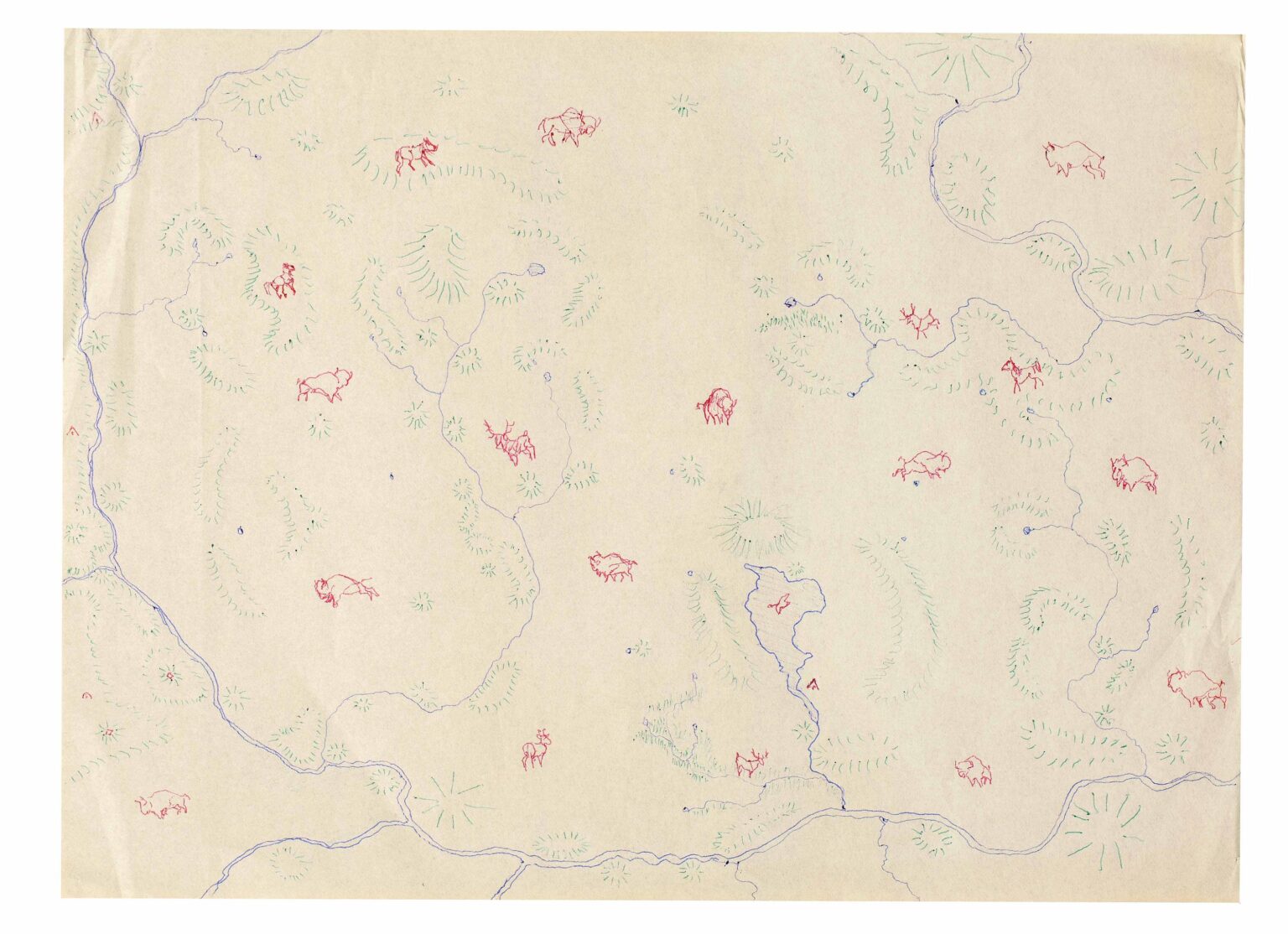 ohne Titel (rote B&uuml;ffel in Pr&auml;rie ) - Warren A. Van Ess 