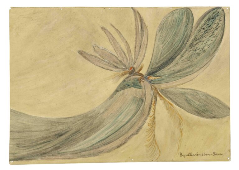 Propeller-Amoeben-Paar - Freda Koehler 