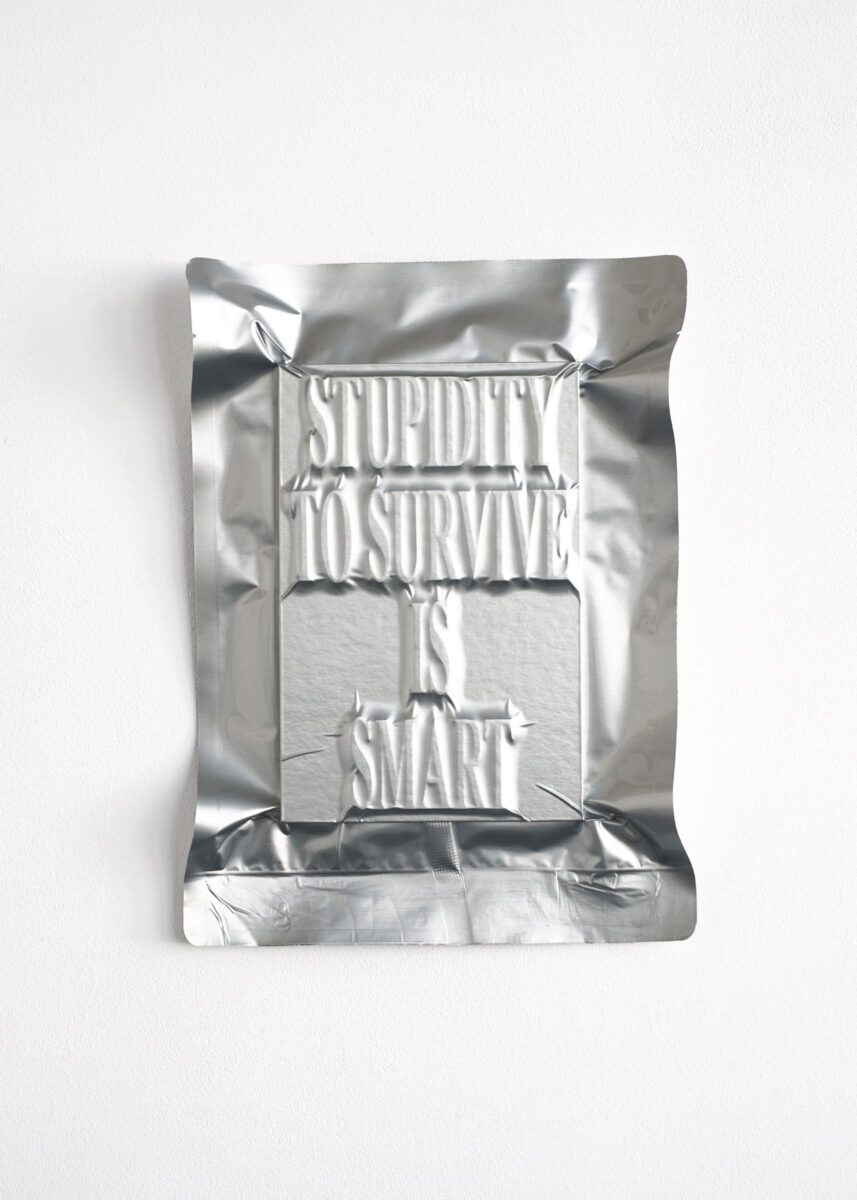 #11 / STUPIDITY TO SURVIVE IS SMART ( I Ate Civilization ) - JEIRYUNG LEE 