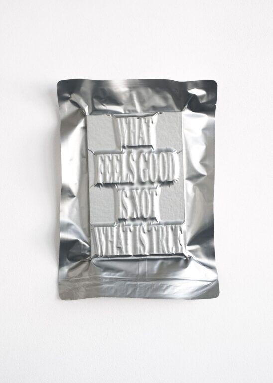 #5 / WHAT FEELS GOOD IS NOT WHAT IS TRUE / ( I Ate Civilization ) - JEIRYUNG LEE 