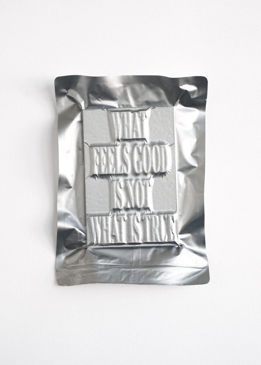 #5 / WHAT FEELS GOOD IS NOT WHAT IS TRUE / ( I Ate Civilization ) - JEIRYUNG LEE 