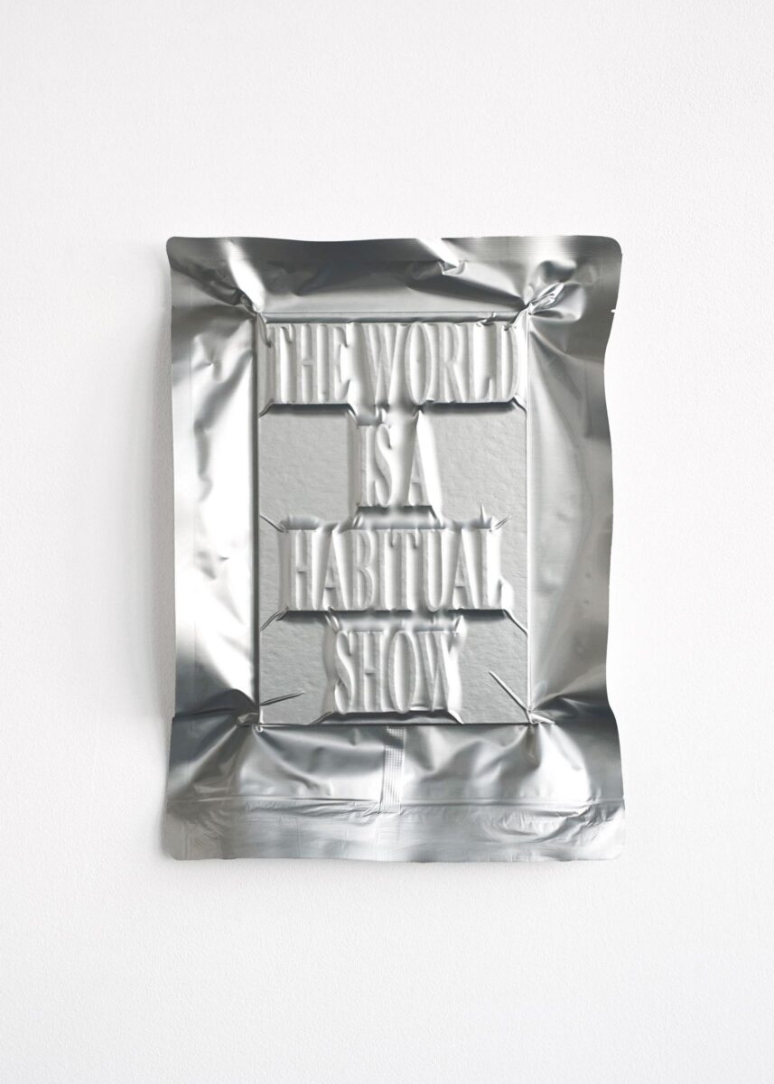 #15 / THE WORLD IS A HABITUAL SHOW ( I Ate Civilization ) - JEIRYUNG LEE 