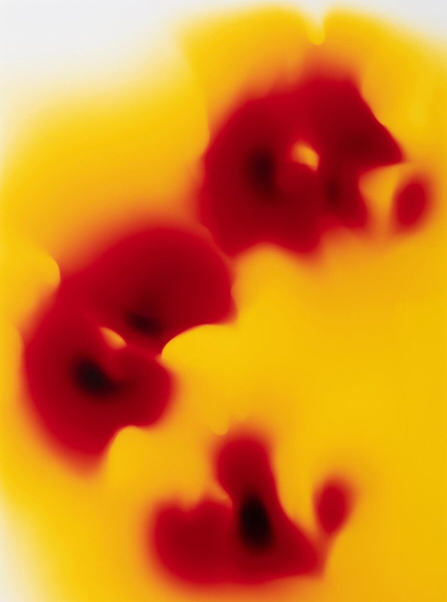 Untitled (“Glowing Attraction” Series), framed w/museum glass - Marta Djourina 