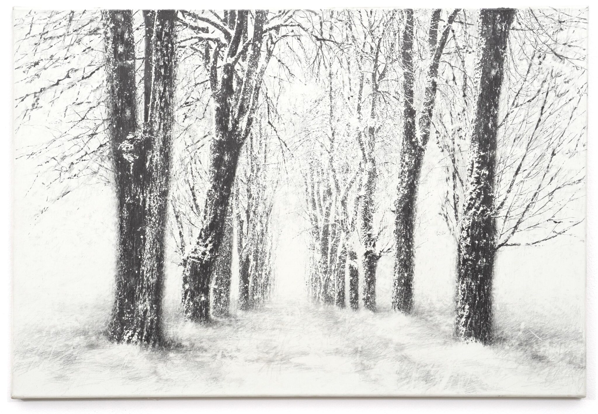 Untitled - DANJA AKULIN 