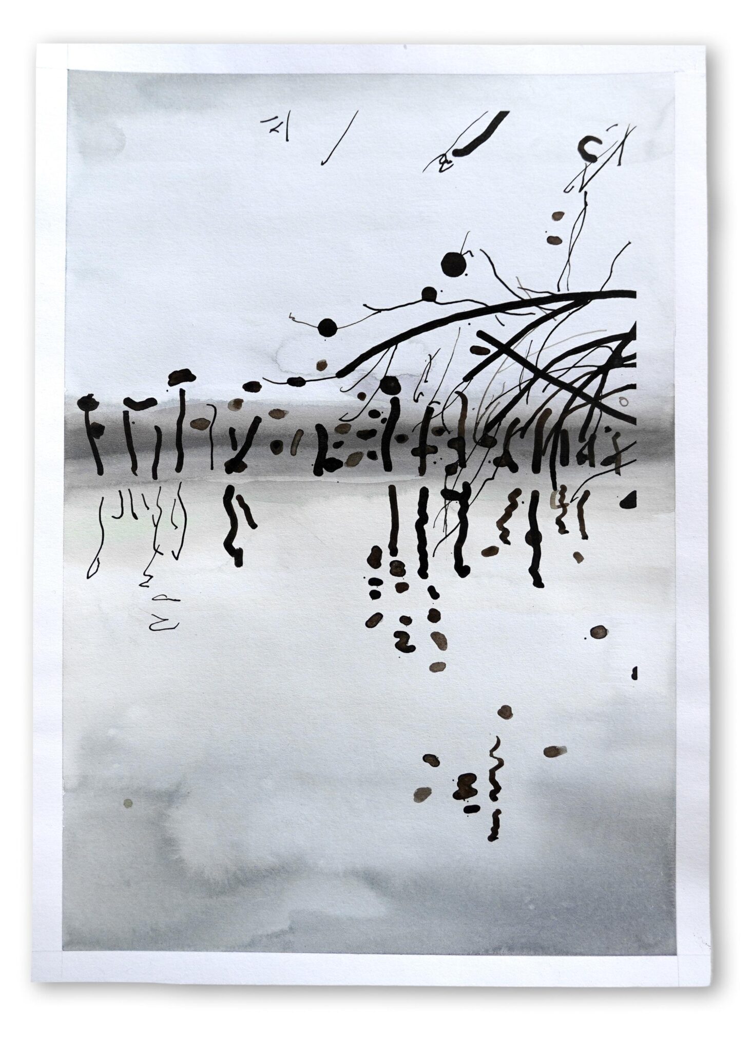 Walks (Elster) - Kyuhyun KIM 