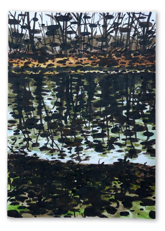 Walks 12 December - Kyuhyun KIM 