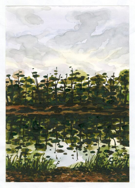 Walks(Clara-Zetkin Park) - Kyuhyun KIM 