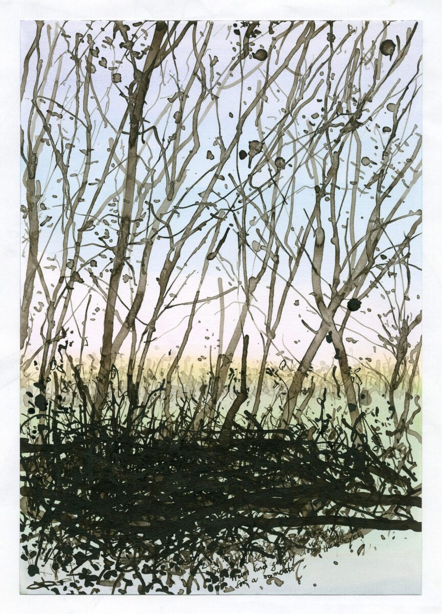 Walks(Clara-Zetkin Park) - Kyuhyun KIM 