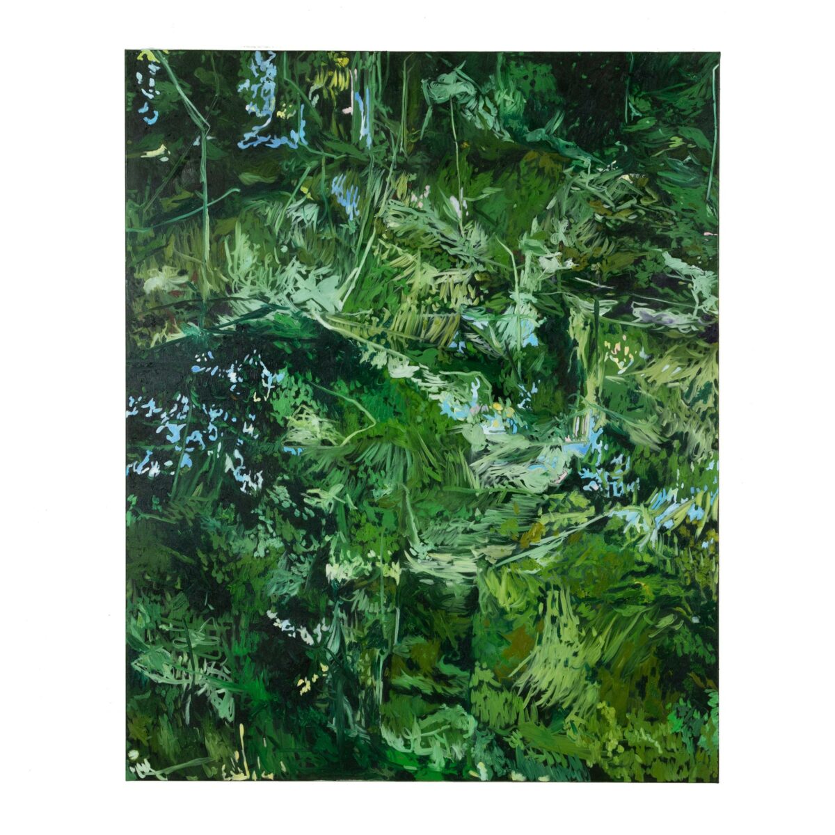 Coda - Haverkampf Leistenschneider