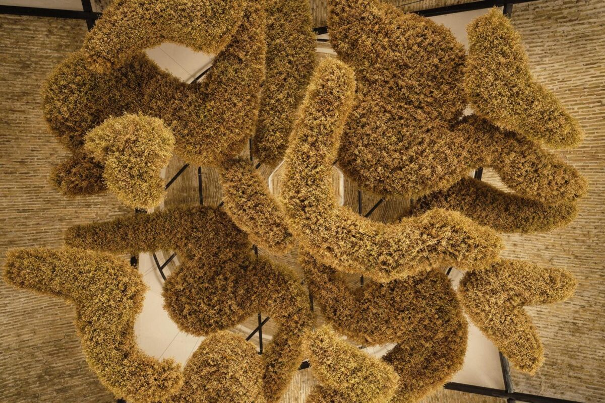 Munisa Kholkhujaeva at Bukhara Biennale 2025 