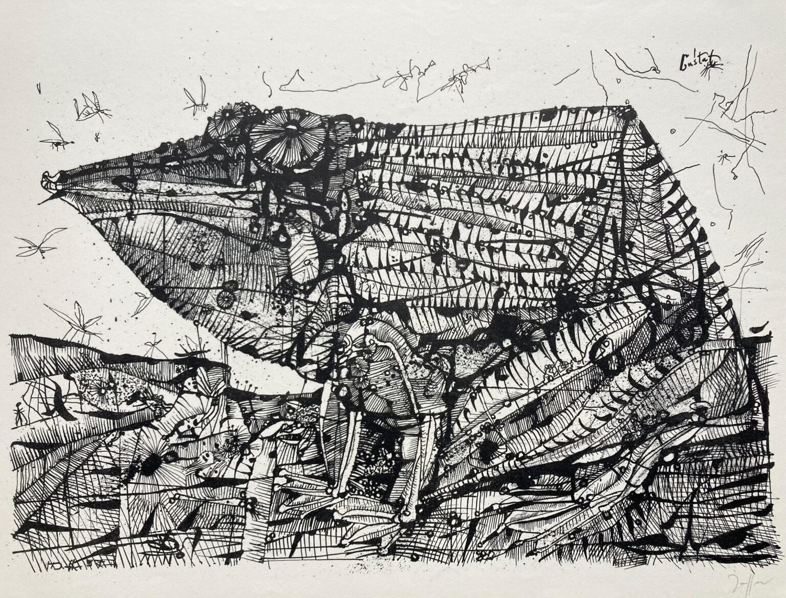 Kröte Gustaf - Horst Janssen 