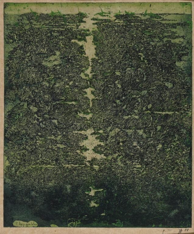 1. Theorie einer Wiese / 9.7.88 - Horst Janssen 