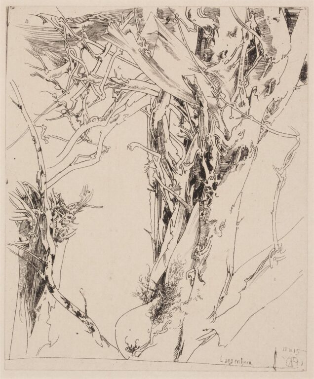 Anzügliche Gegend / 20.10.85 - Horst Janssen 