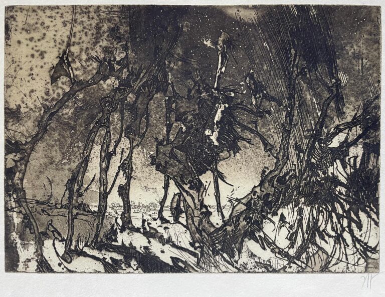 Heftige Landschaft - Horst Janssen 