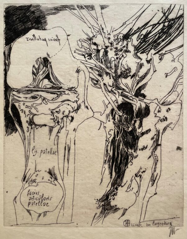 Knieland / 26.10.85 - Horst Janssen 