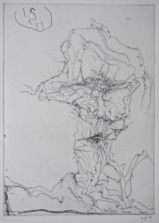 Tantchen Memo / 15.1.71 - Horst Janssen 