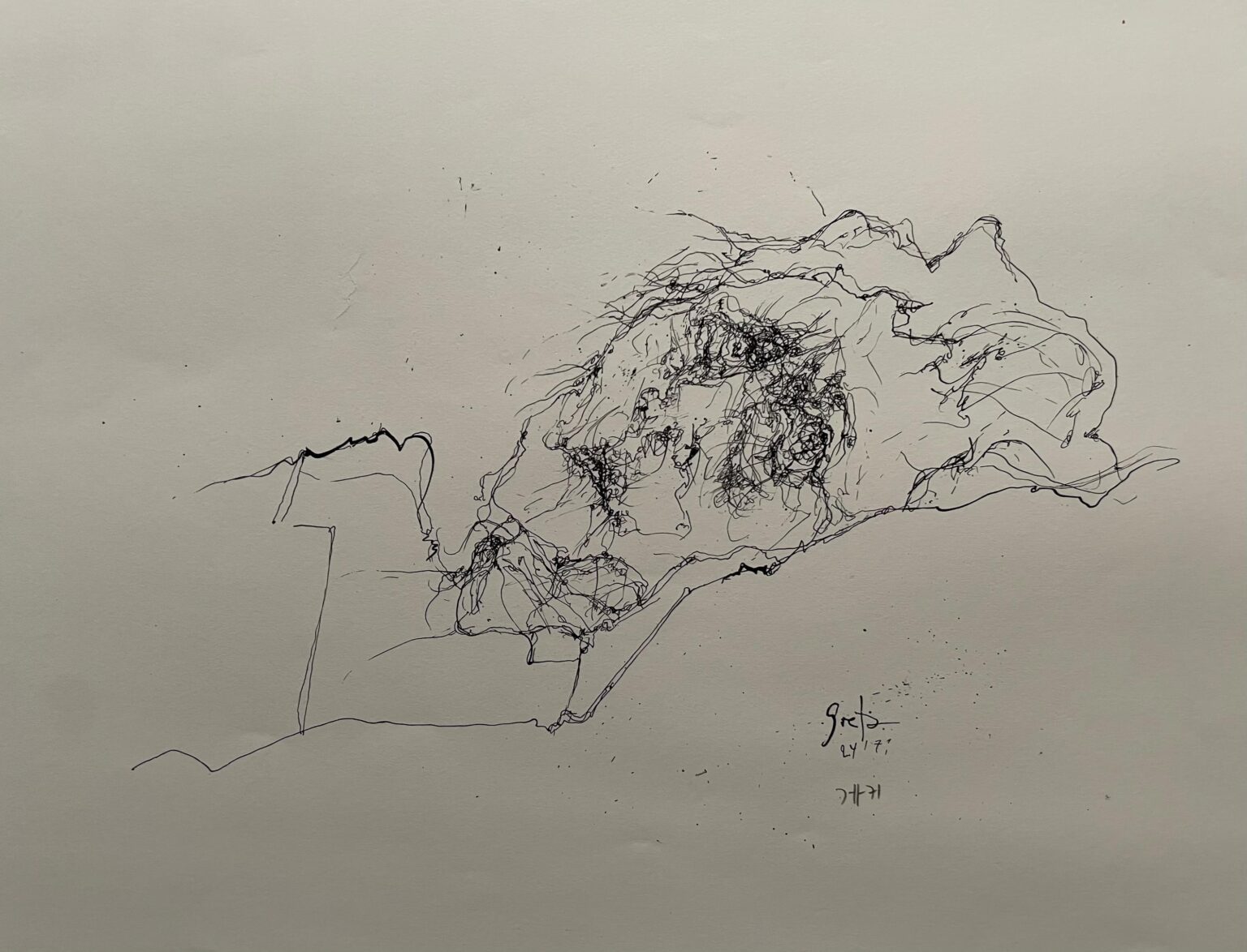 Greta Stolterfoht / 24.1.71 - Horst Janssen 