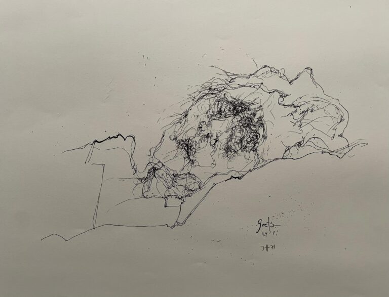 Greta Stolterfoht / 24.1.71 - Horst Janssen 