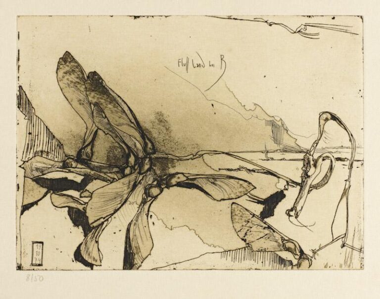 Fluss Land bei B / 19.10.74 - Horst Janssen 