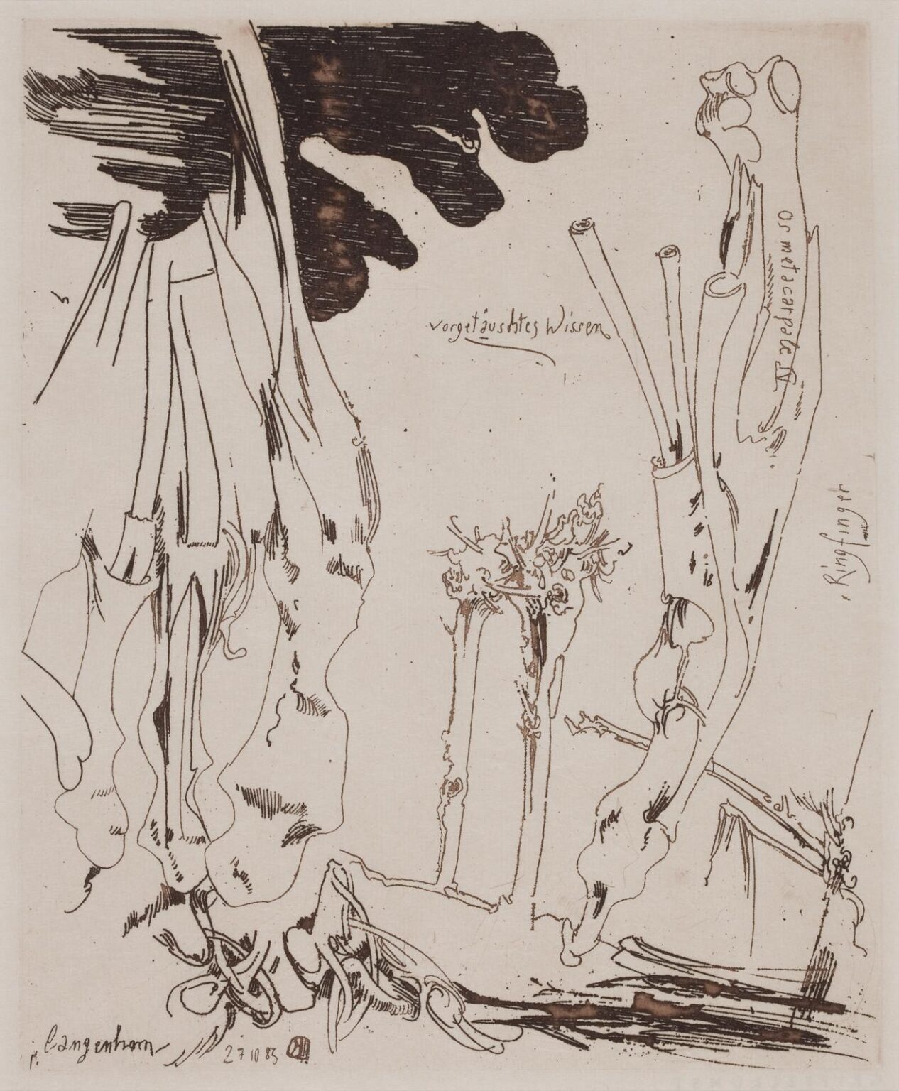 Vorget&auml;uschtes Wissen / 27.10.83 - Horst Janssen 