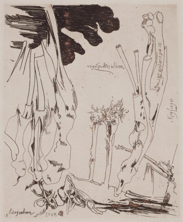 Vorgetäuschtes Wissen / 27.10.83 - Horst Janssen 