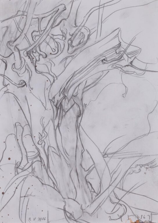 Bäume / 24.5.86 - Horst Janssen 