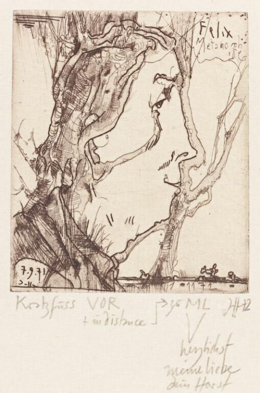 Felix Metamorphose / 7.9.71 - Horst Janssen 