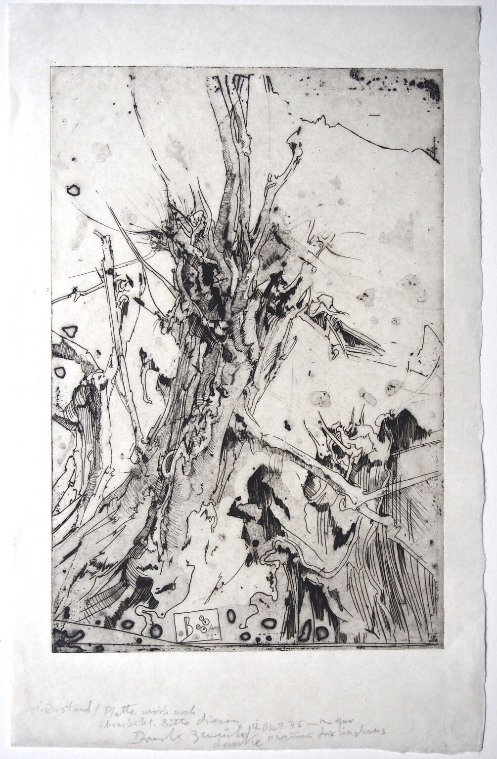 Ohne Titel (Landschaft) - Horst Janssen 