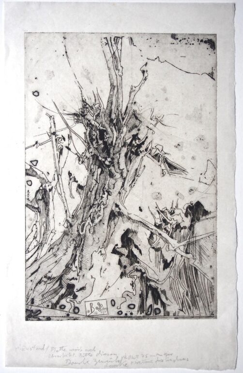 Ohne Titel (Landschaft) - Horst Janssen 