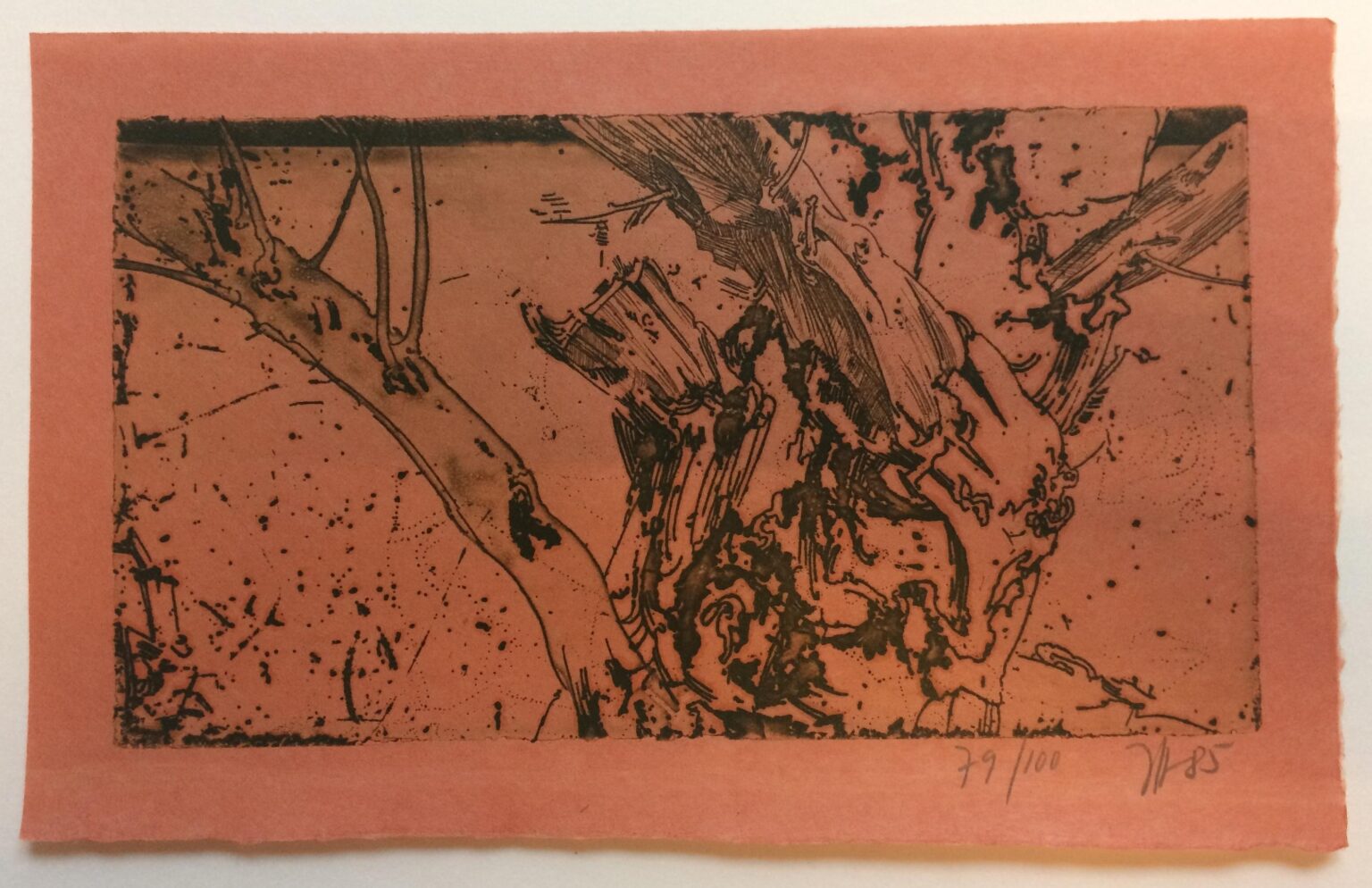 Ohne Titel (Landschaft) - Horst Janssen 