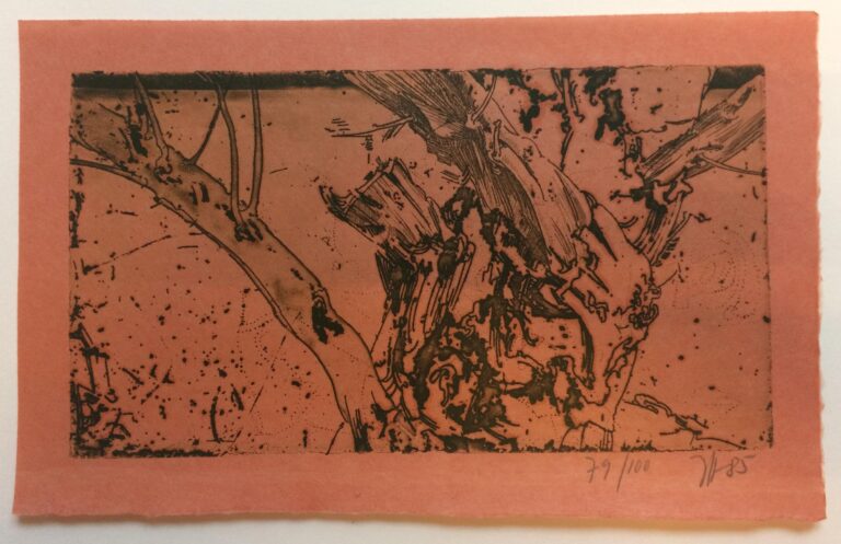 Ohne Titel (Landschaft) - Horst Janssen 