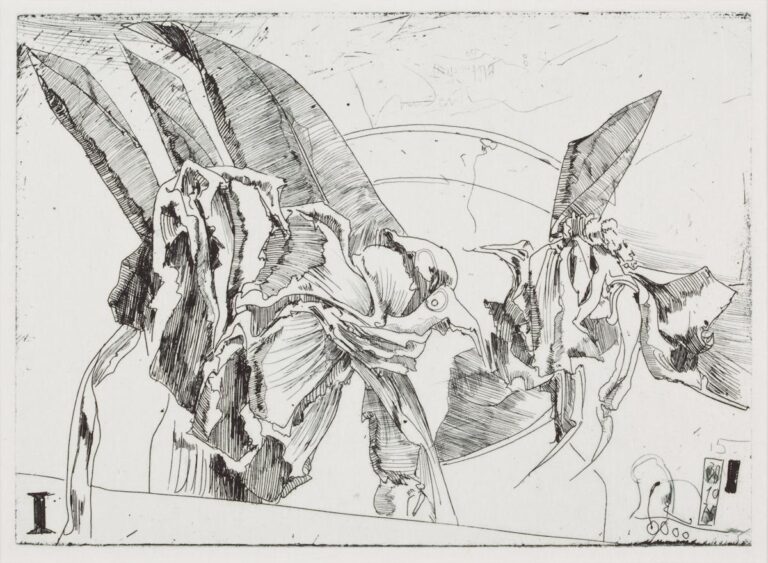 Blütenstreit / 30.10.75 - Horst Janssen 