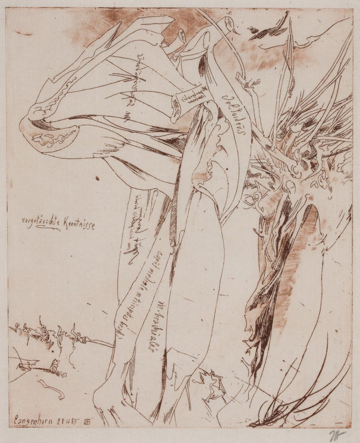 Brachial / 28.10.85 - Horst Janssen 