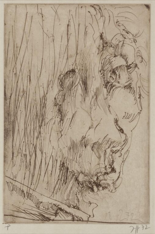 Hanno’s Tod / 18.12.72 - Horst Janssen 