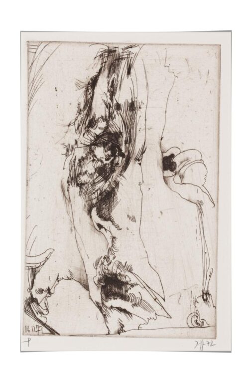 Hanno’s Tod / 16.12.72 - Horst Janssen 