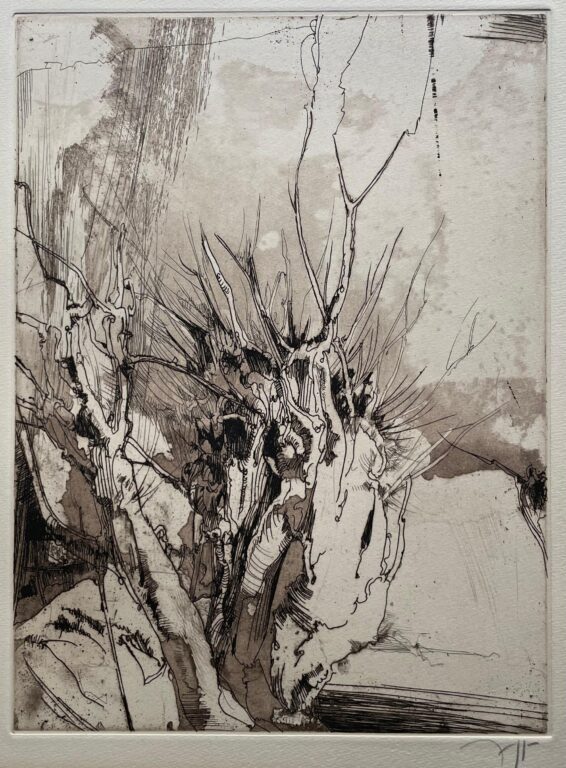 Kopfweiden - Horst Janssen 