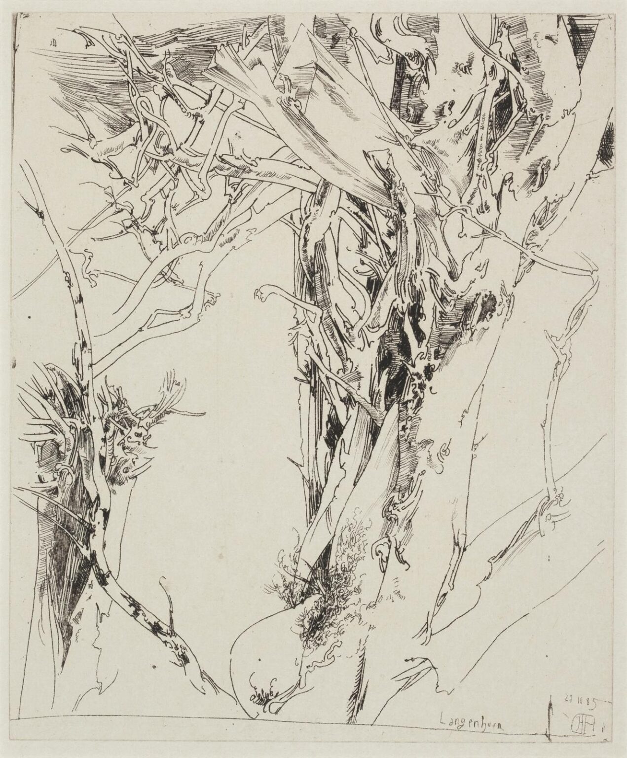 Anz&uuml;gliche Gegend / 20.10.85 - Horst Janssen 