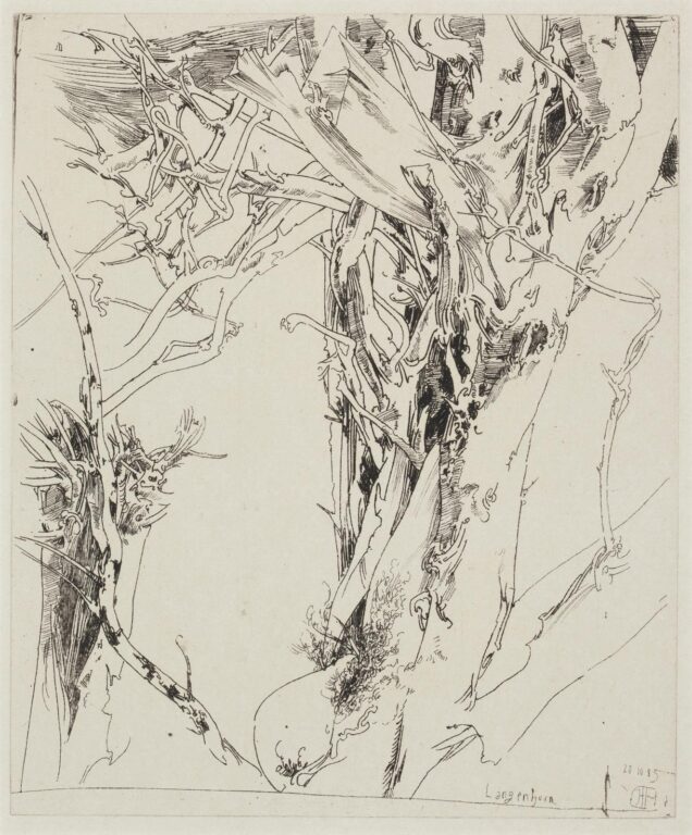 Anzügliche Gegend / 20.10.85 - Horst Janssen 