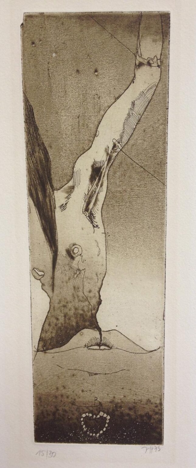 Ohne Titel (B.) - Horst Janssen 