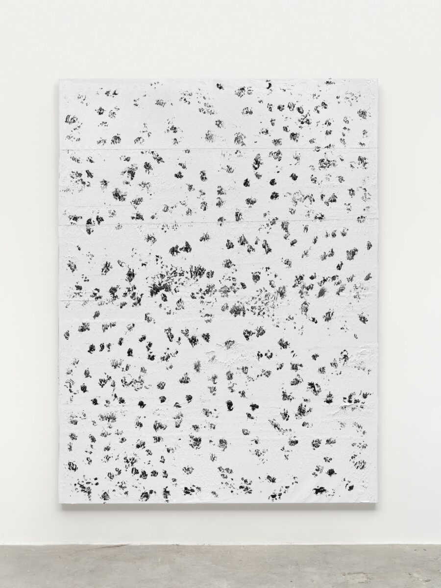 Televised Mind - Chris Succo 