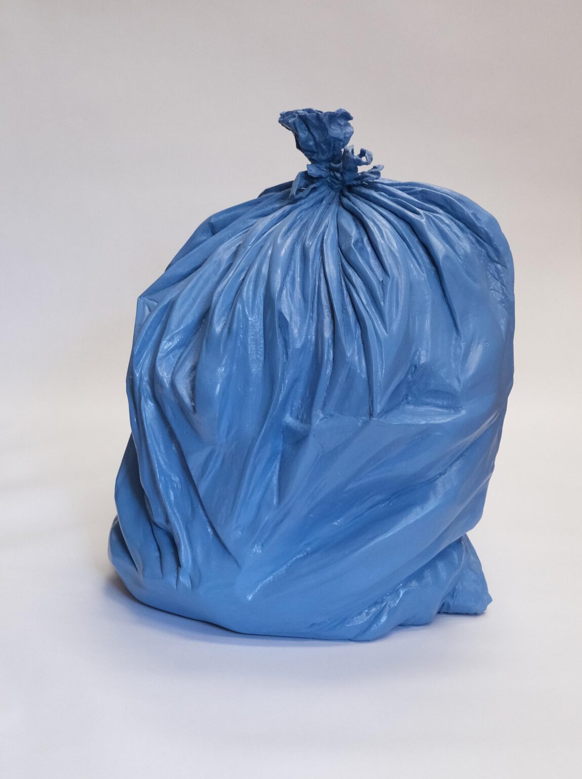 Haben wir nicht schon genug Müll? - Jessi Strixner 