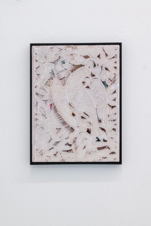 Dove - Kapurani Brothers 