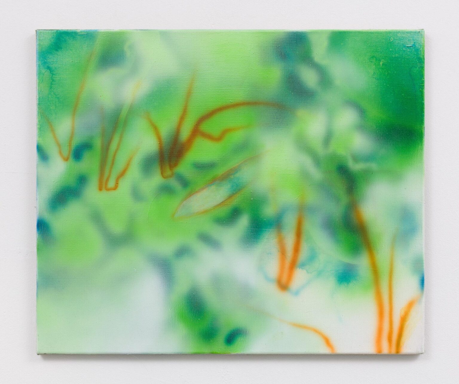 Heidekraut - Carolin Israel 