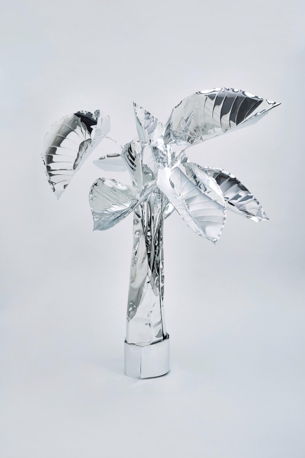 The Aluminum Garden -Structural Studies of Plants-Elephant Ear - Toshihiko Mitsuya 