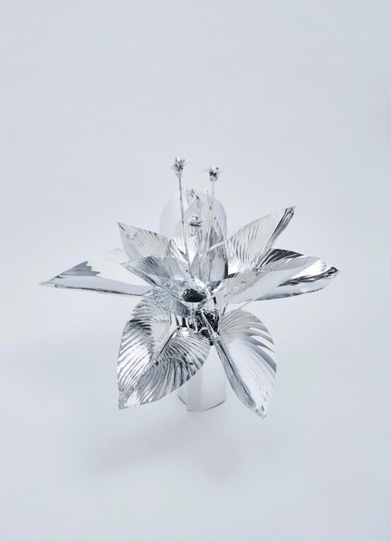 The Aluminum Garden -Structural Studies of Plants-Plantain Lilies - Toshihiko Mitsuya 