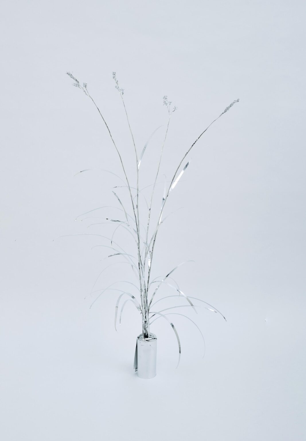 The Aluminum Garden -Structural Studies of Plants-Johnson Grass - Toshihiko Mitsuya 