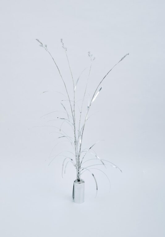 The Aluminum Garden -Structural Studies of Plants-Johnson Grass - Toshihiko Mitsuya 